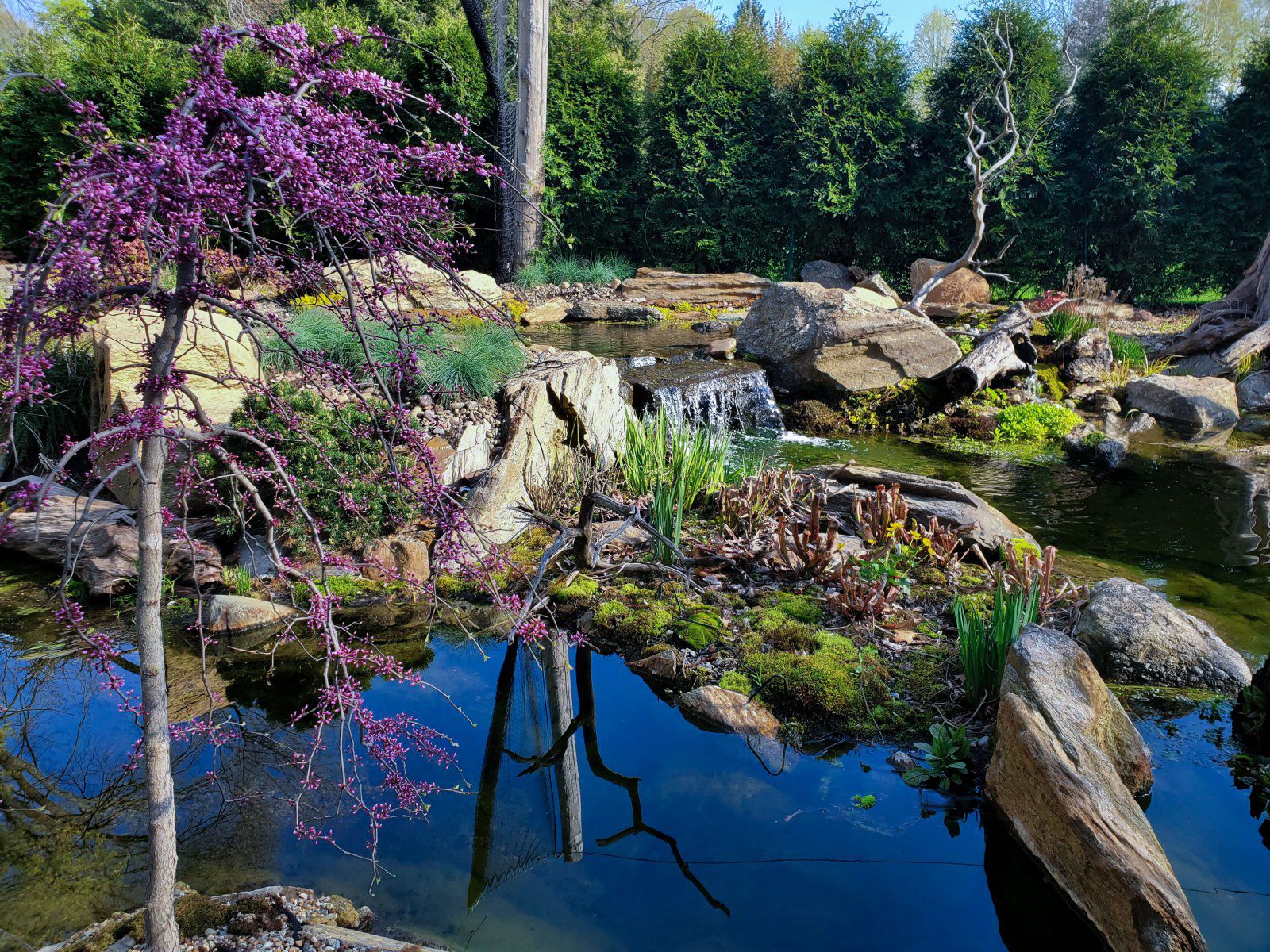 pond best  (41 of 46).jpg