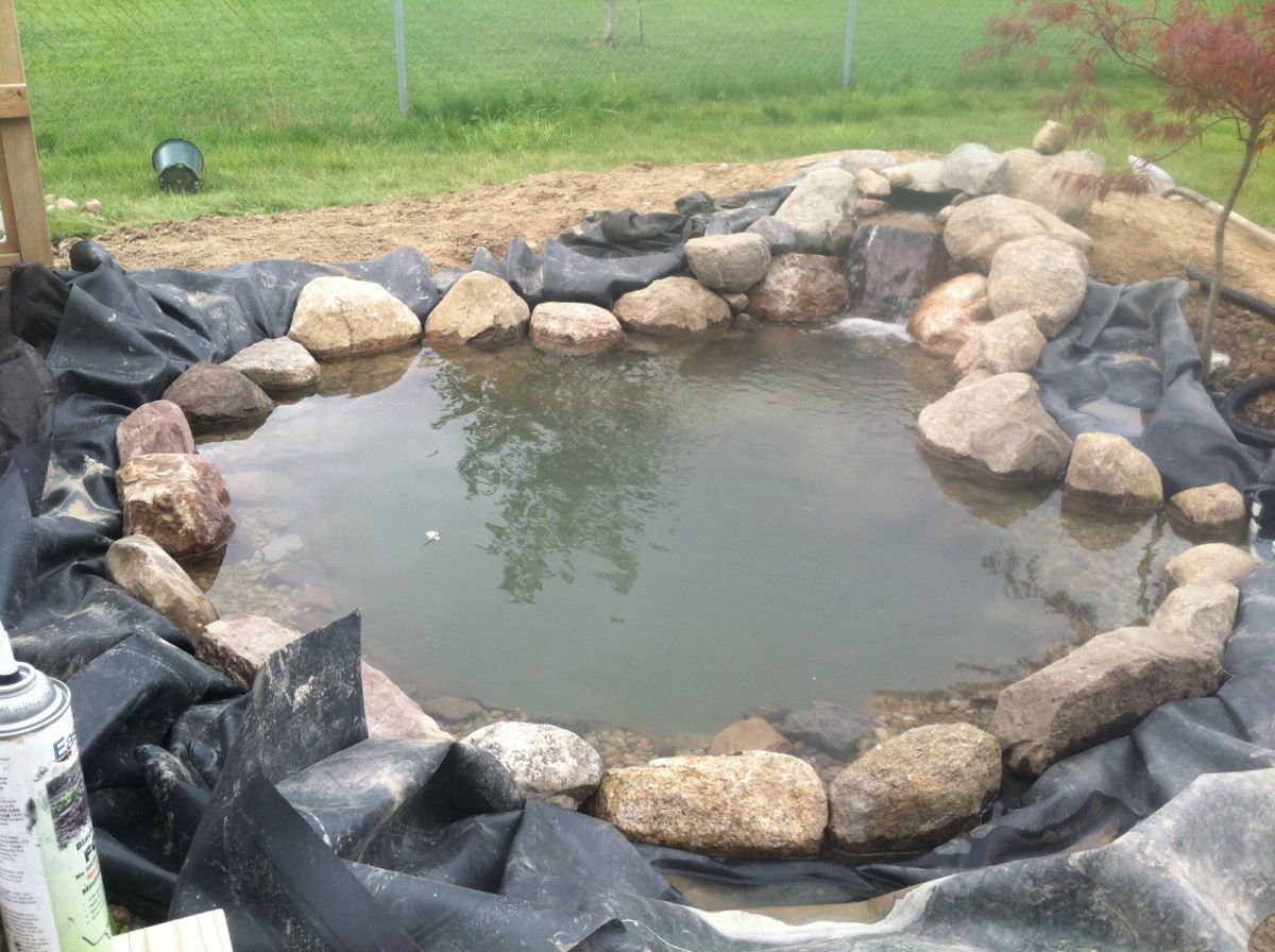 Pond Build July/August 2013