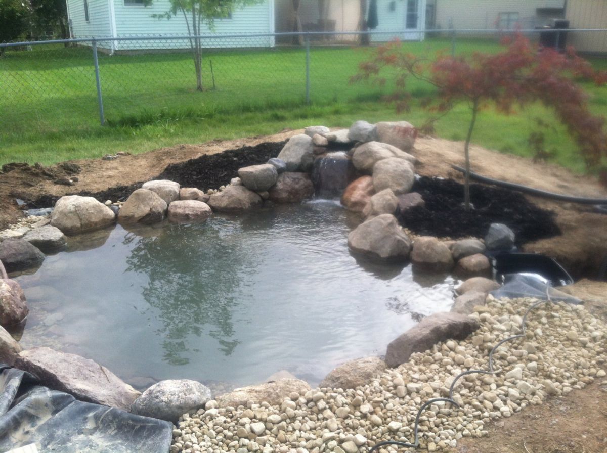 Pond Build July/August 2013