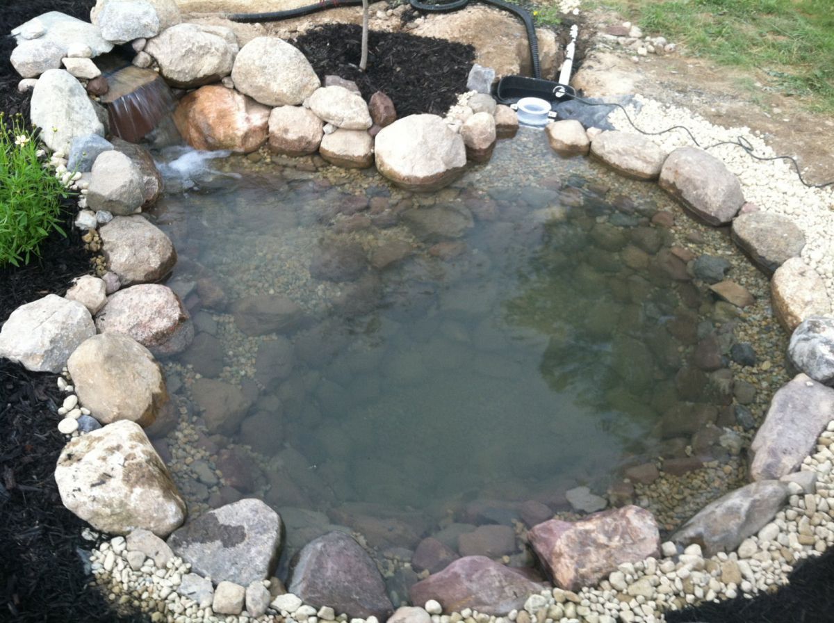 Pond Build July/August 2013