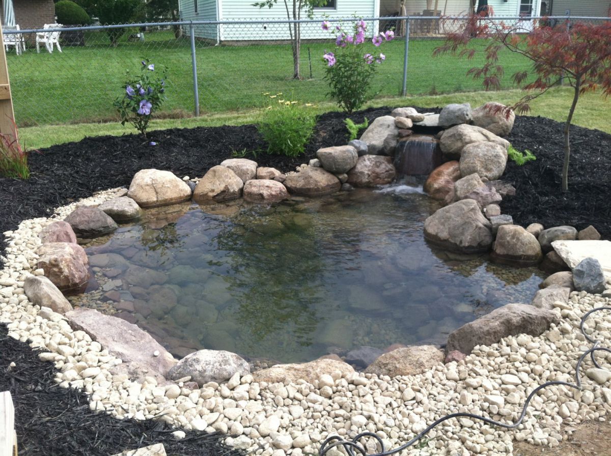 Pond Build July/August 2013