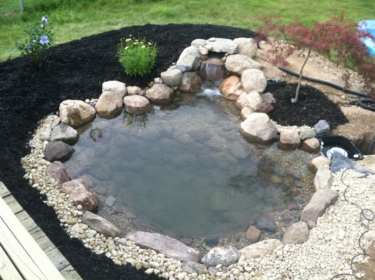Pond Build July/August 2013