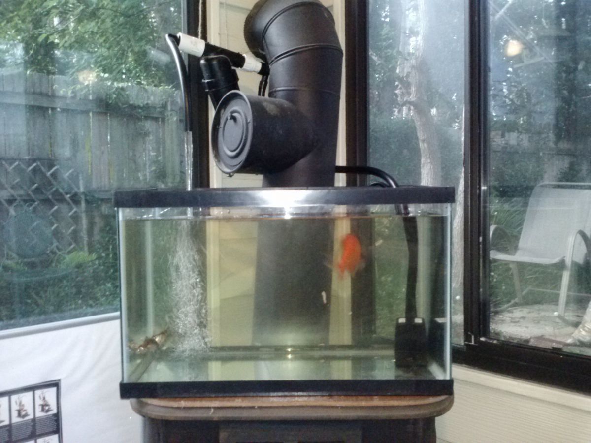 Pond Fish Tank