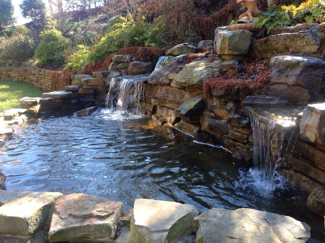 Pond in Fall