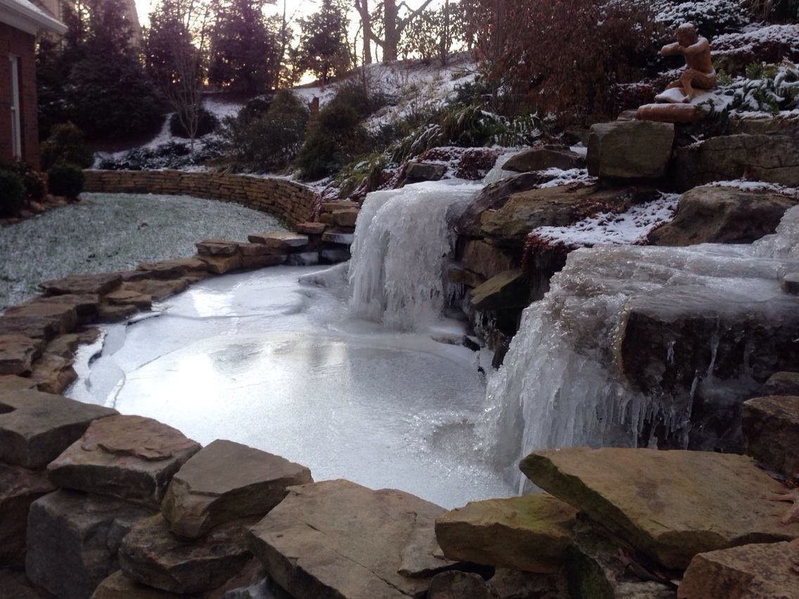 Pond in winter