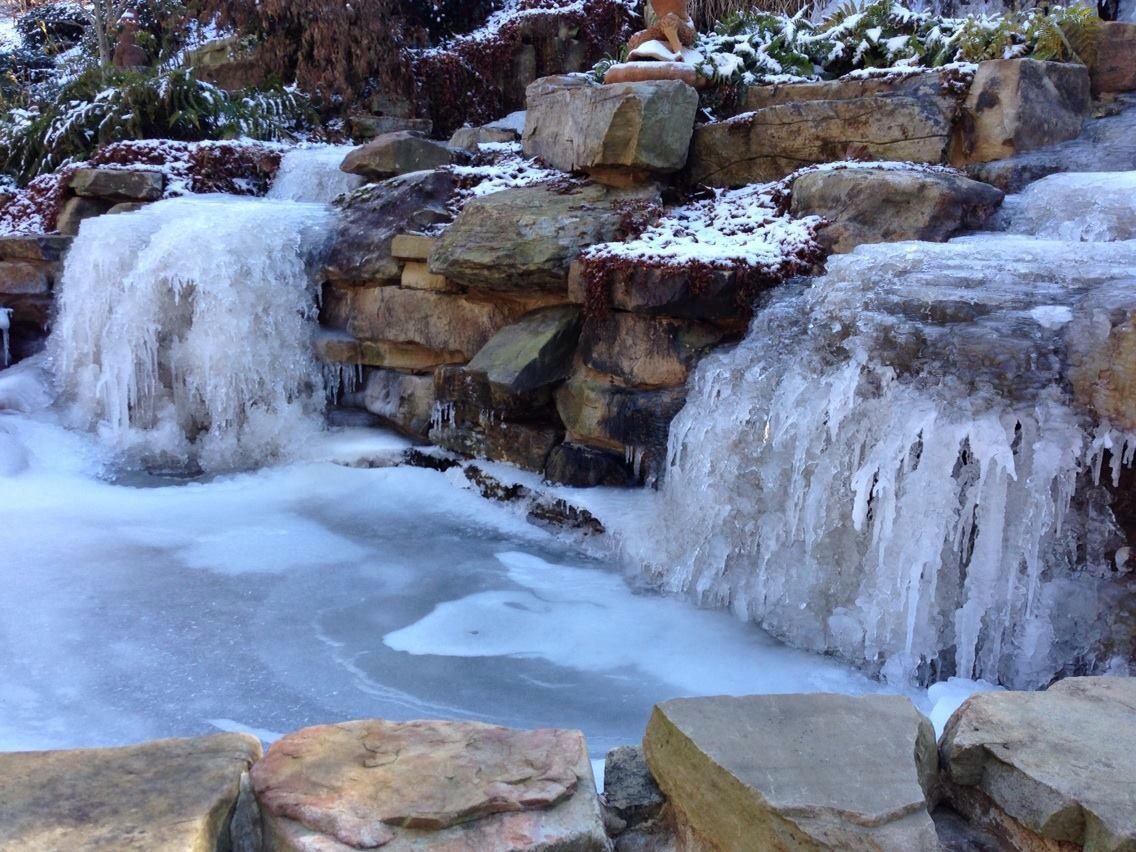 Pond in Winter