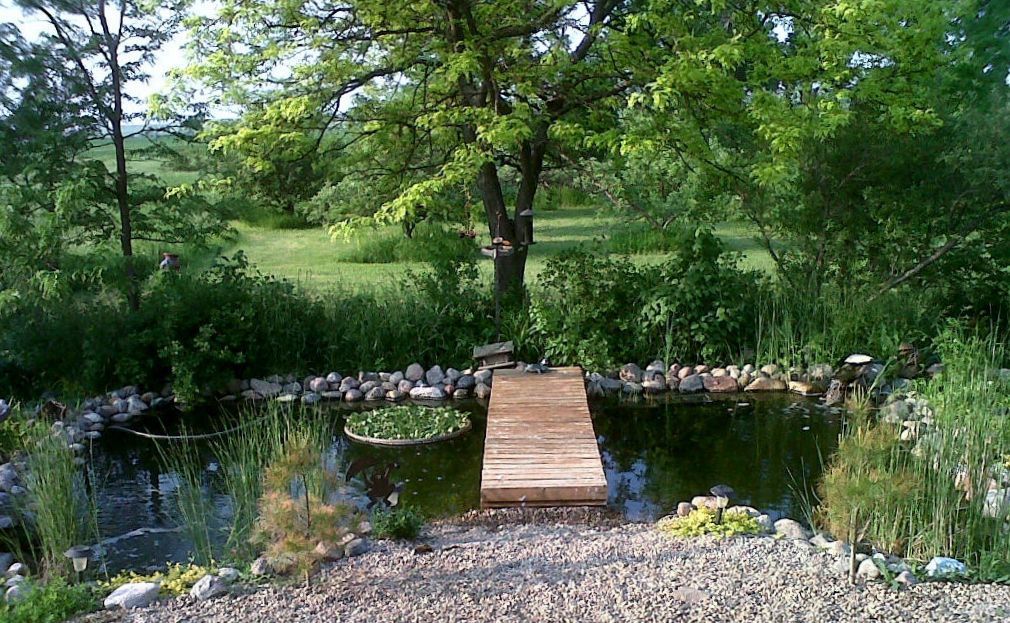 pond june 2011