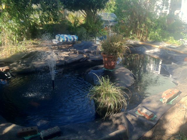Pond looking East