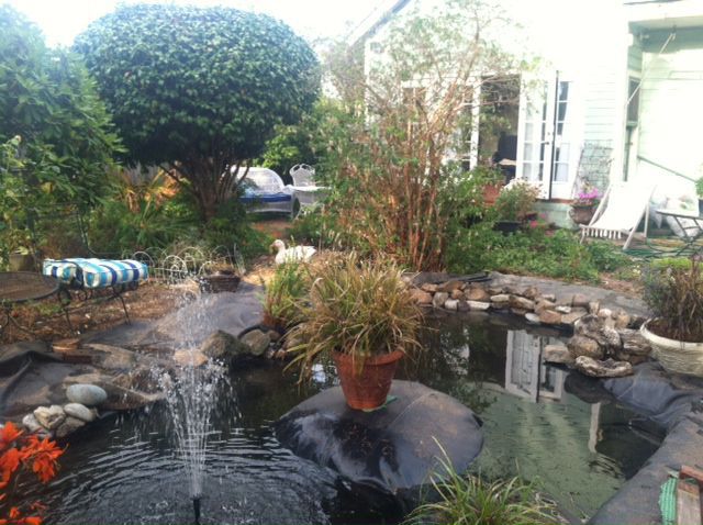 Pond showing "island"