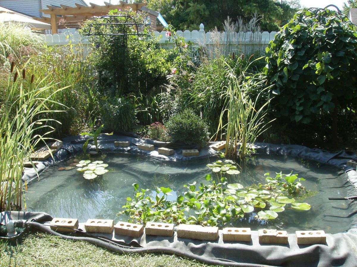 Pond Under Construction-July 2009 #1