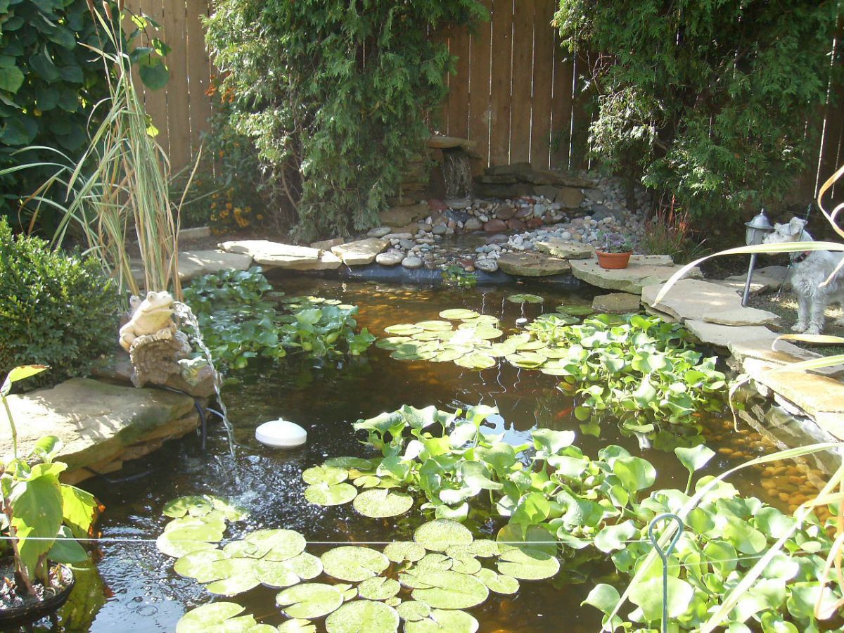 Pond Under Construction-July 2009 #10