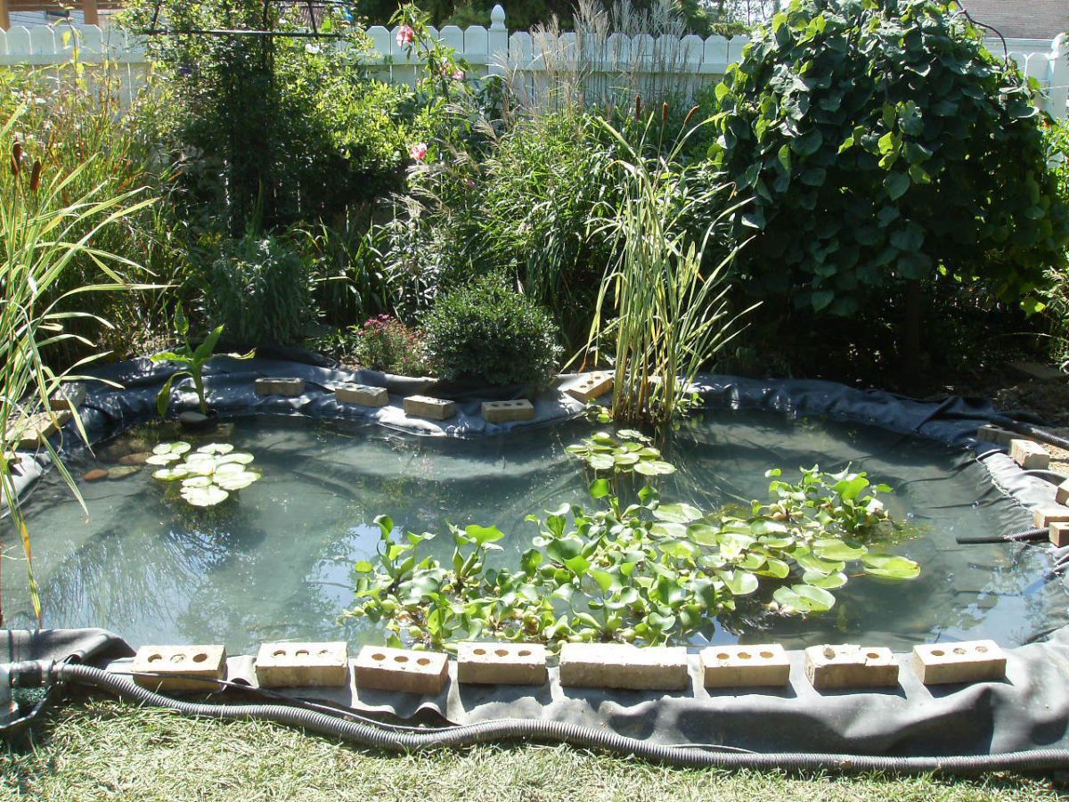 Pond Under Construction-July 2009 #2