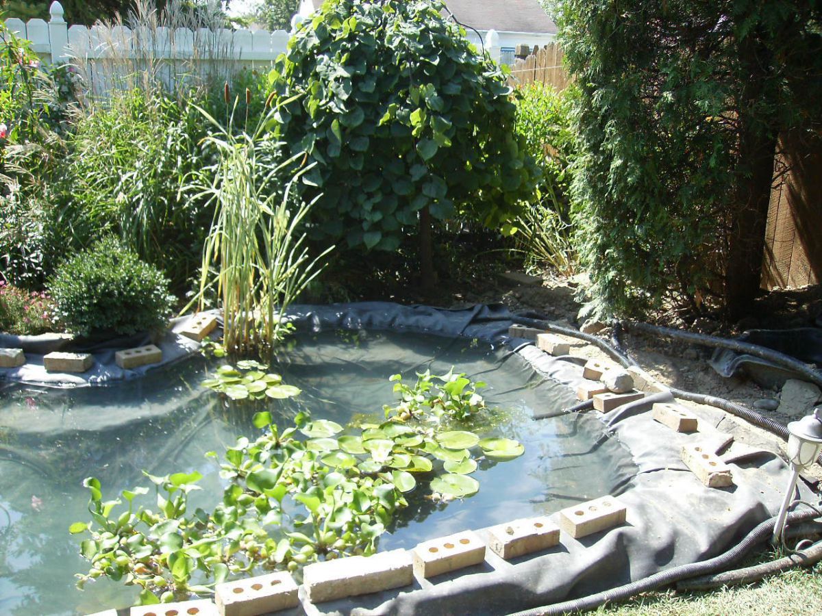 Pond Under Construction-July 2009 #3