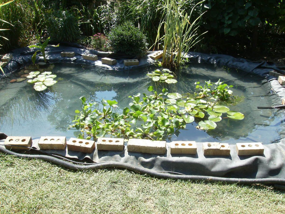 Pond Under Construction-July 2009 #5