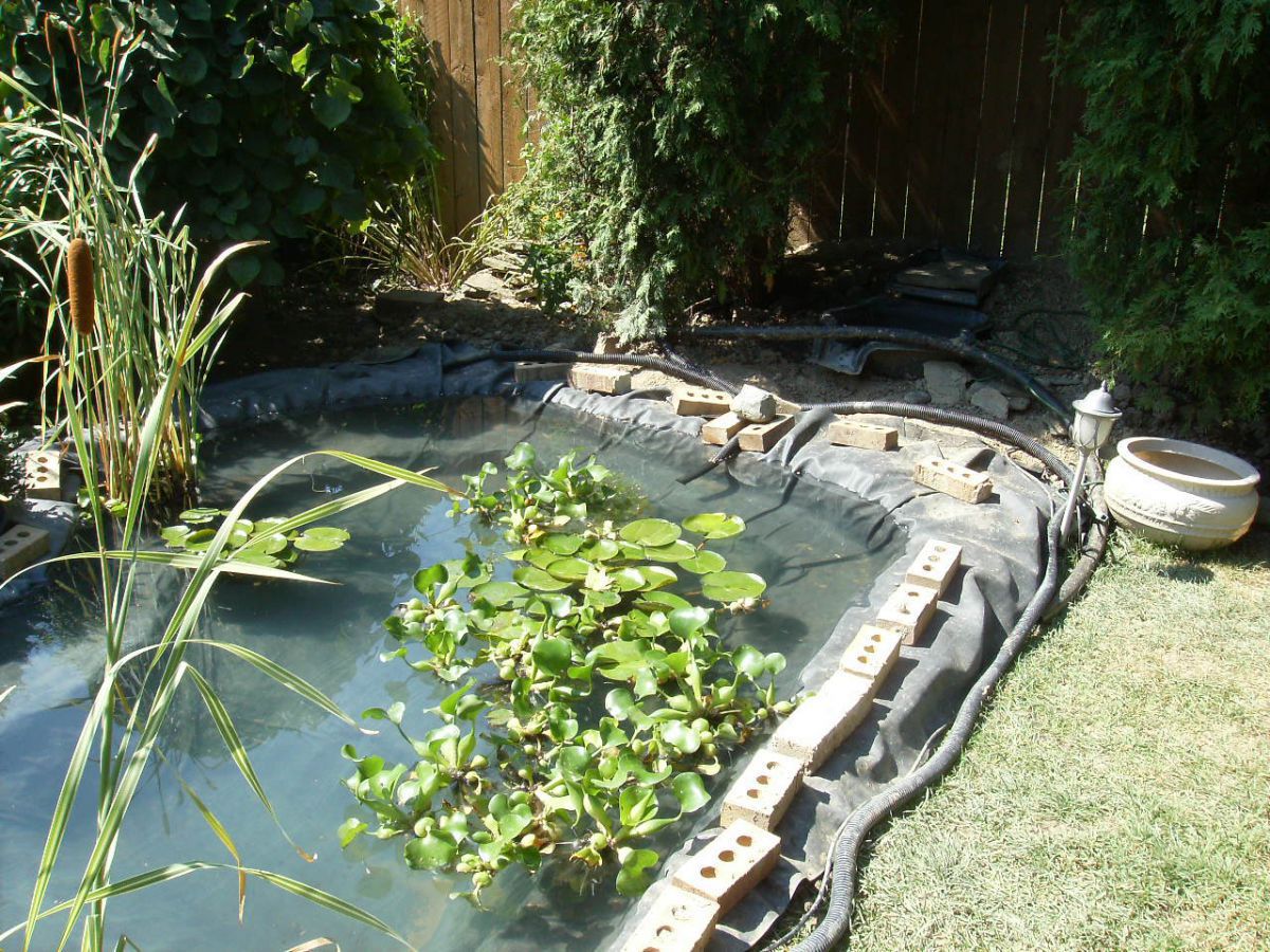 Pond Under Construction-July 2009 #6