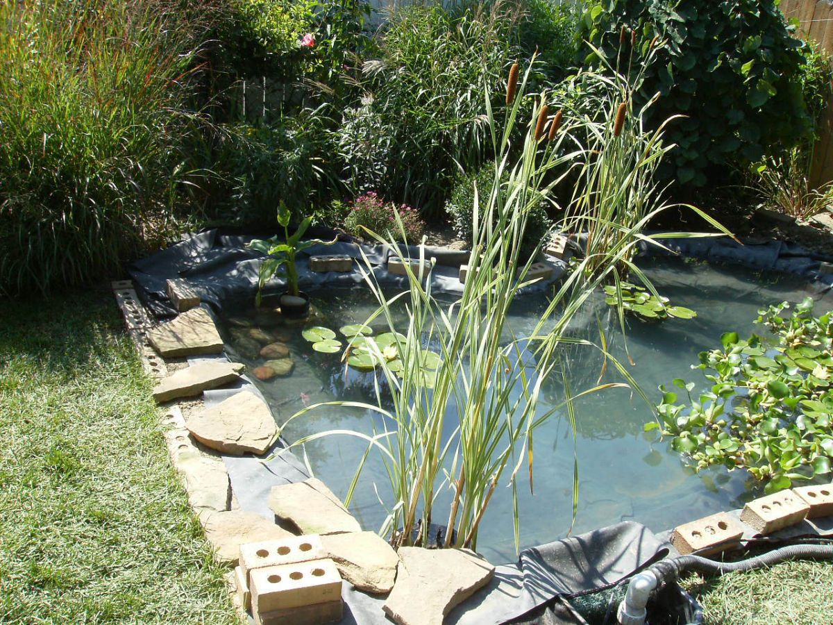Pond Under Construction-July 2009 #7