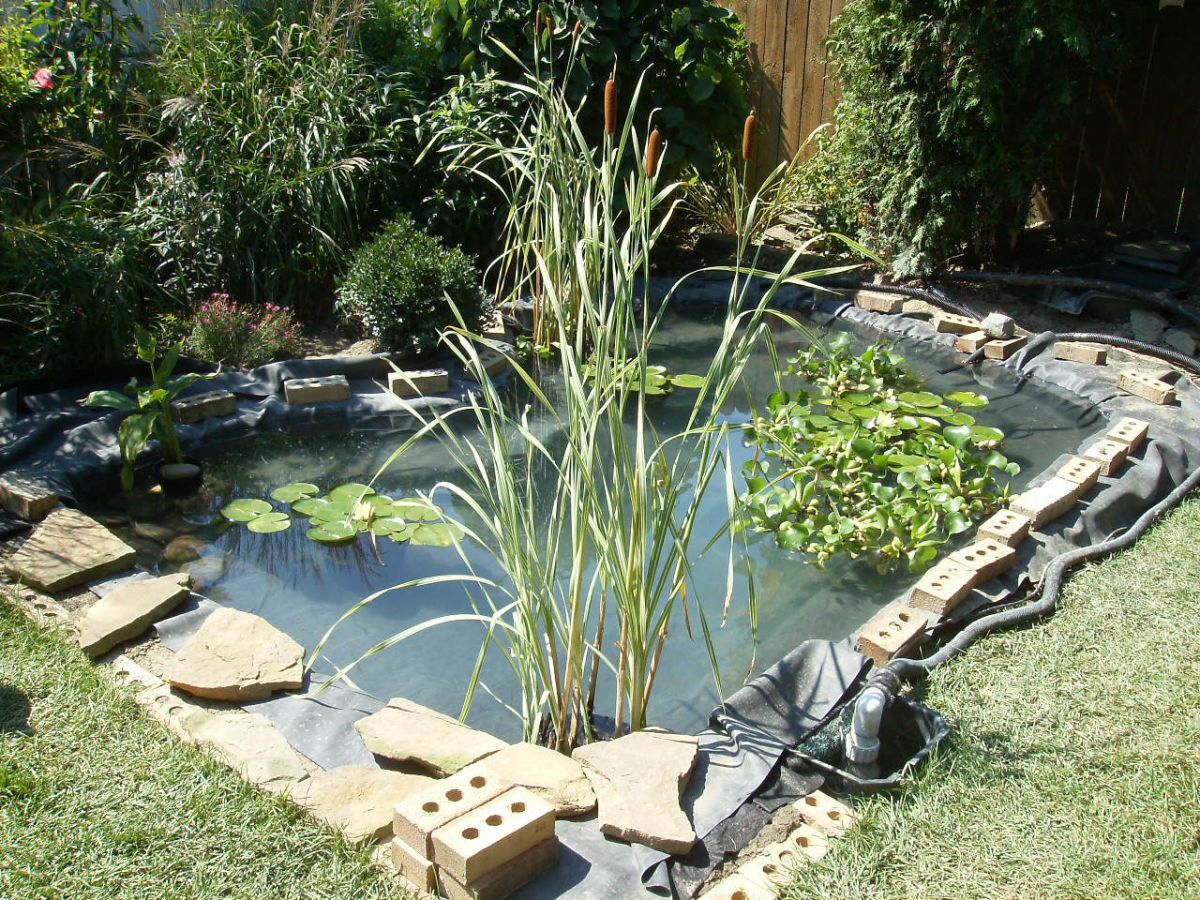 Pond Under Construction-July 2009 #8