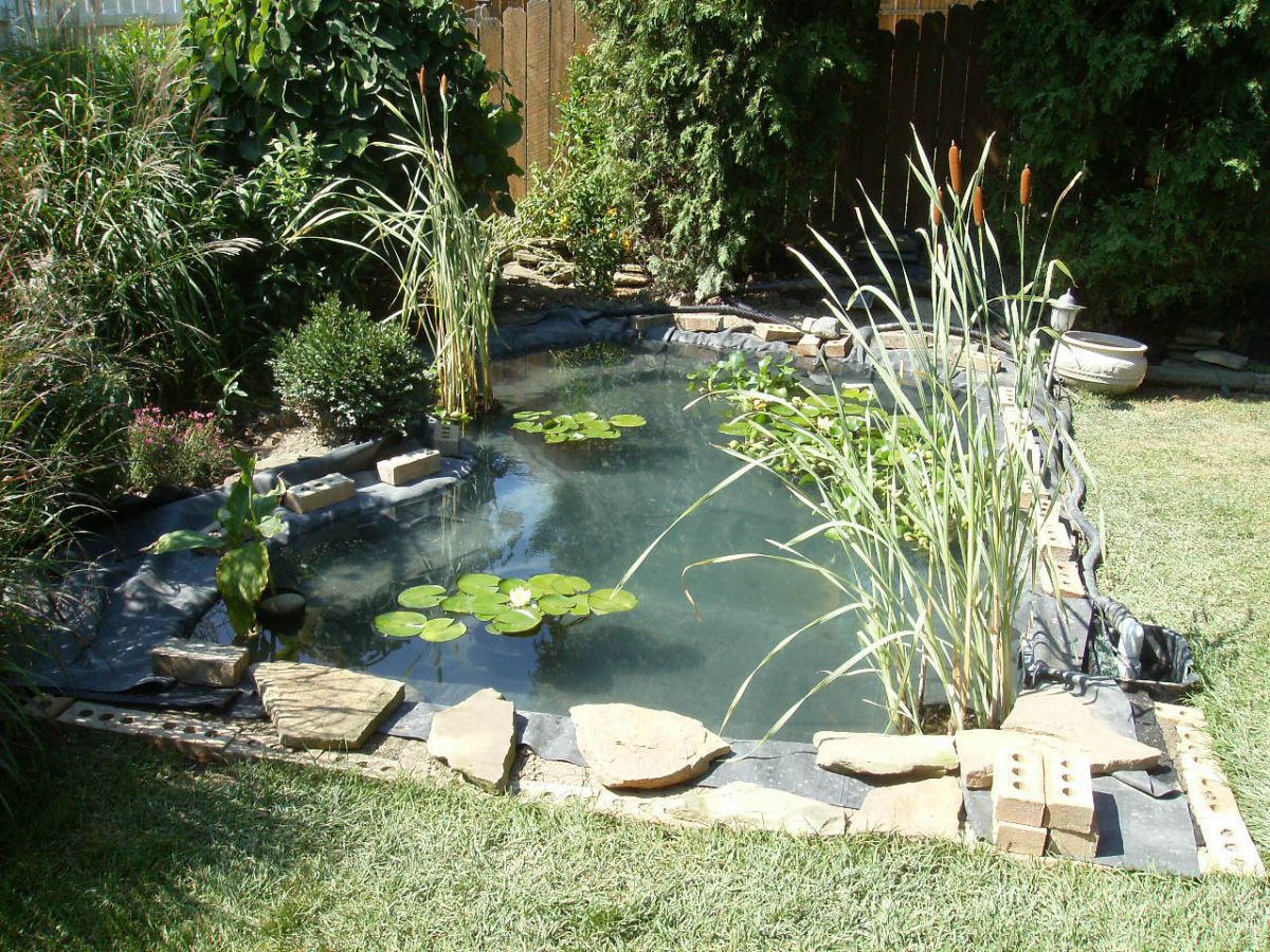 Pond Under Construction-July 2009 #9