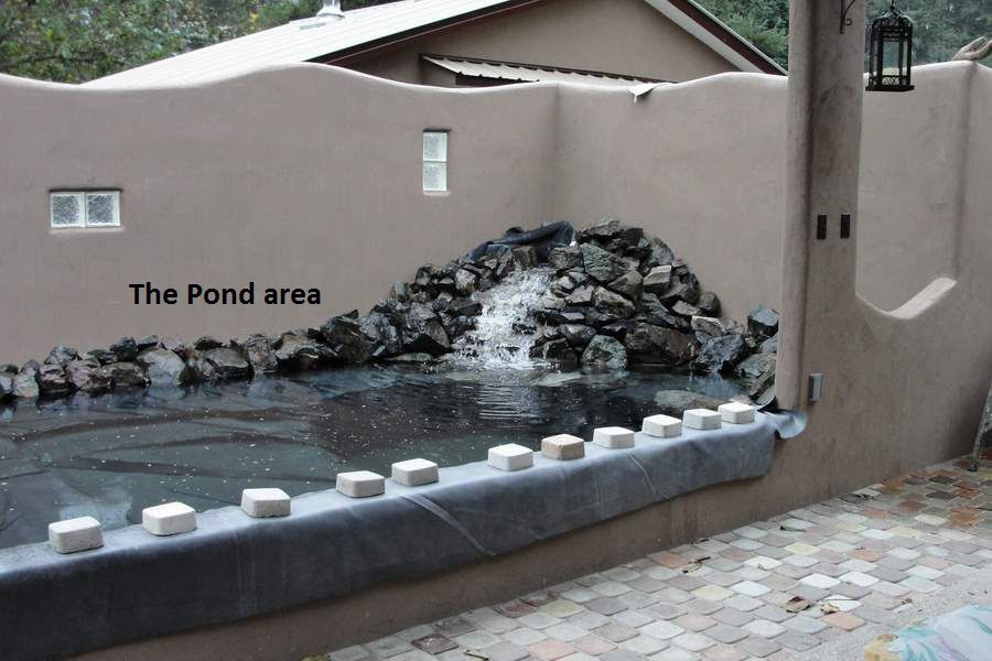 pond