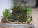 pond