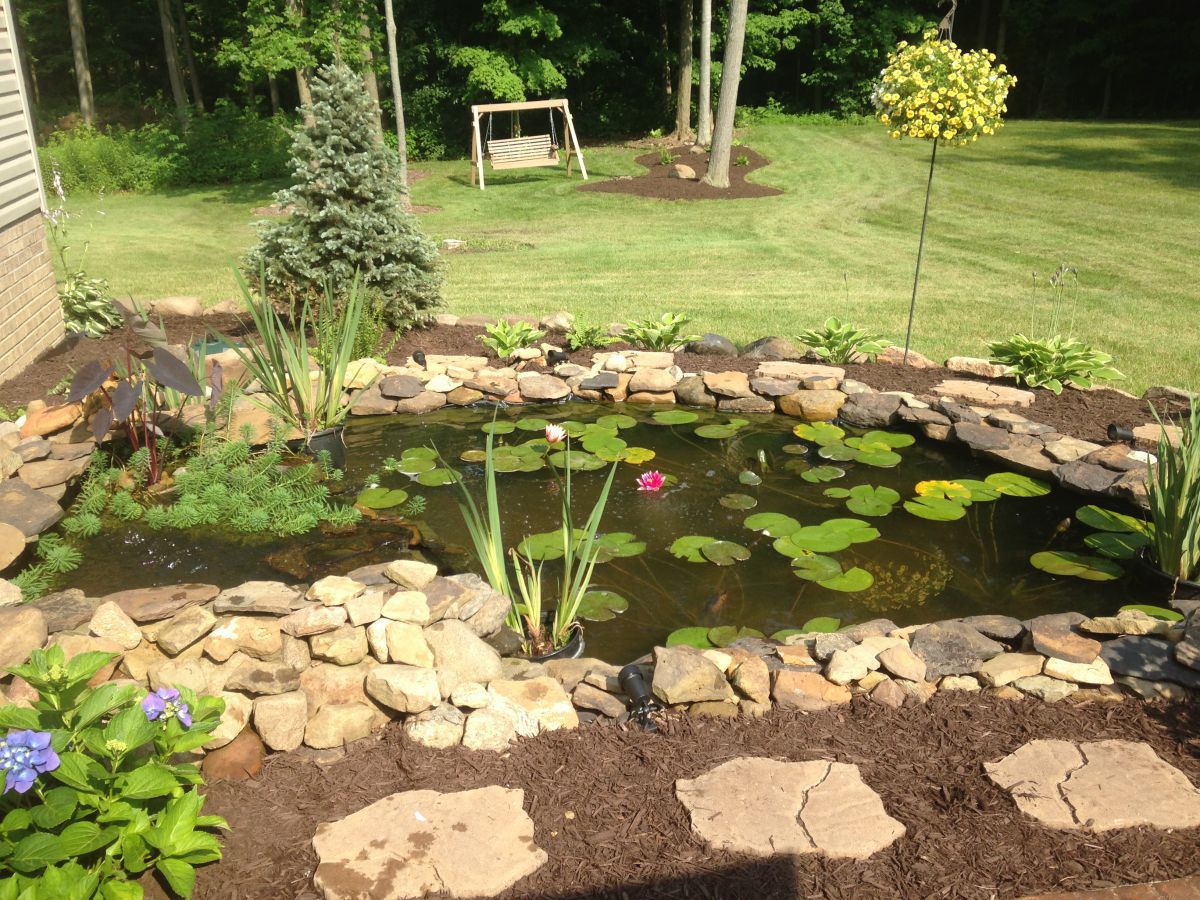 pond