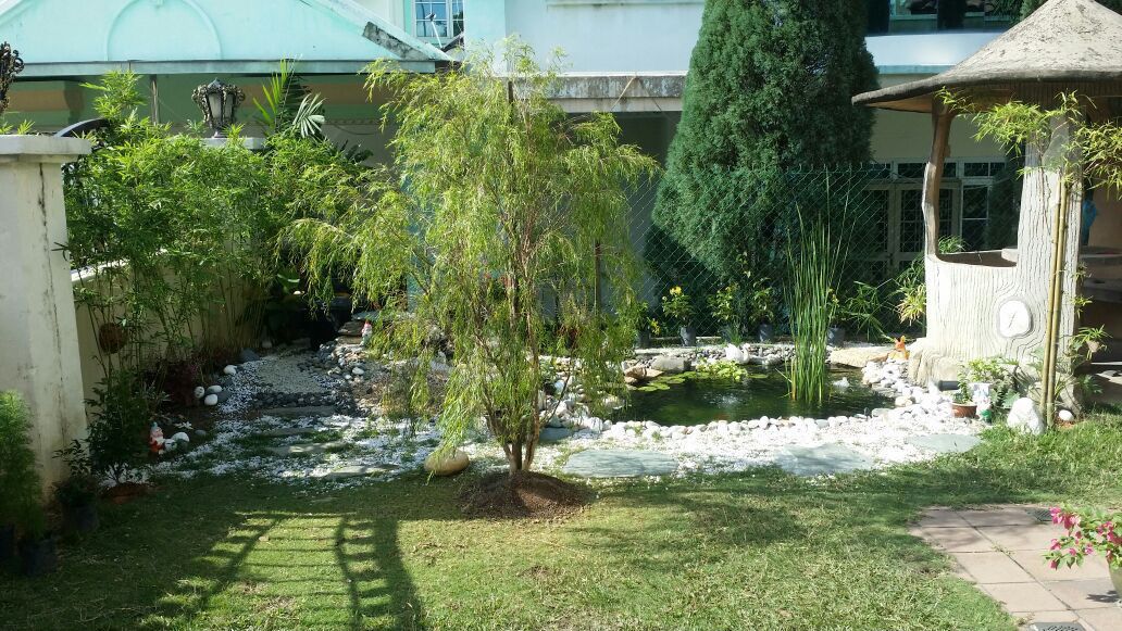Pond