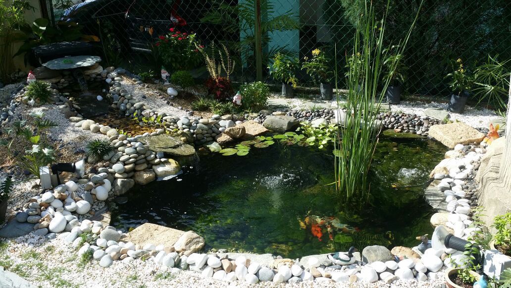 Pond