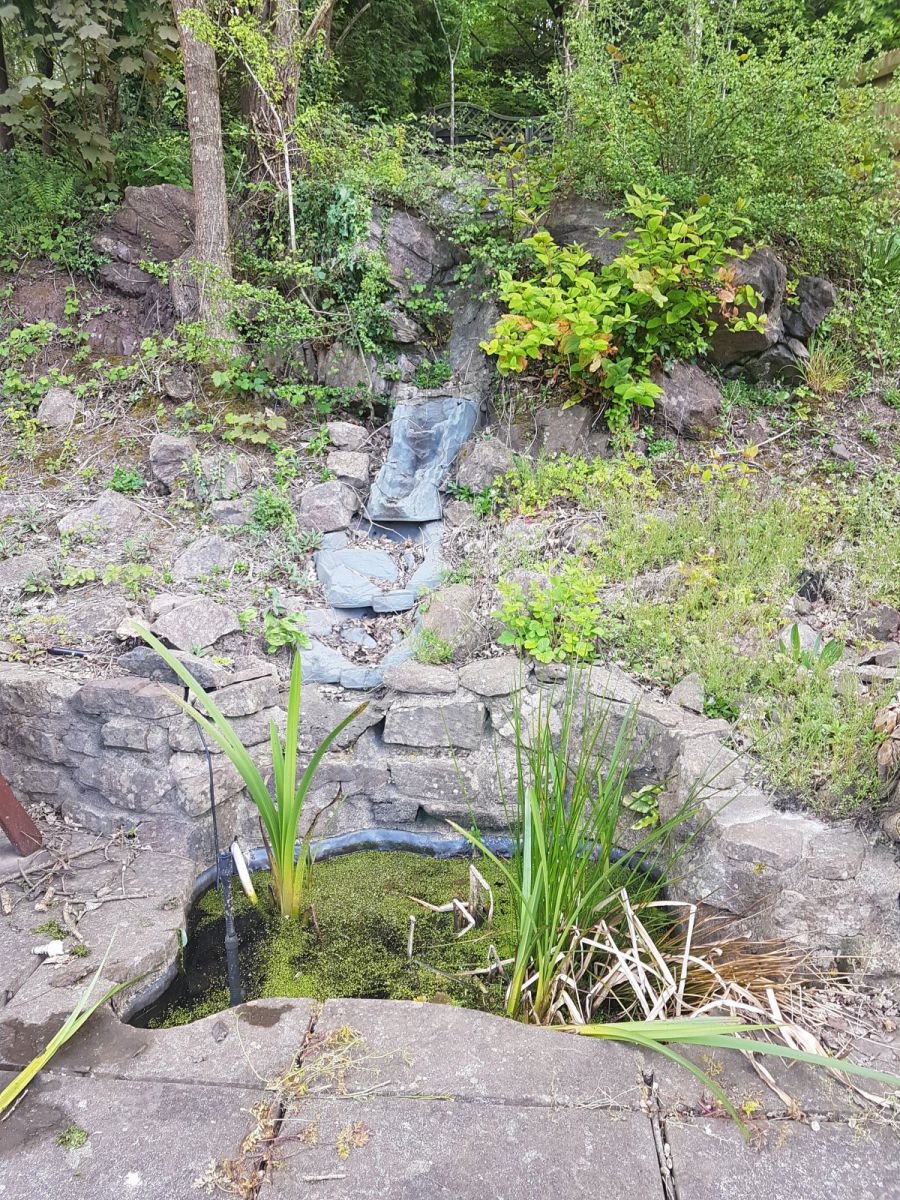 Pond