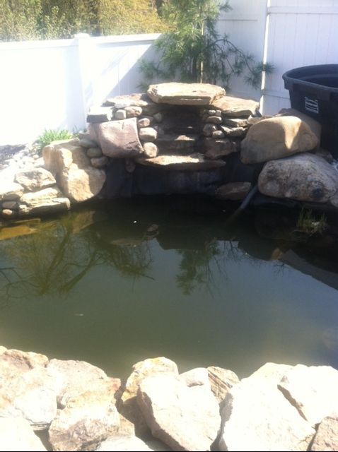 pond1