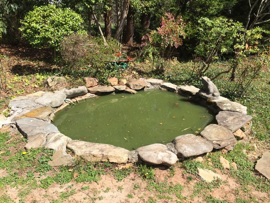 pond1