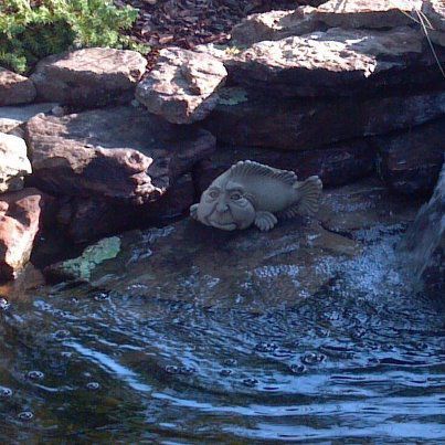 Sid In The pond