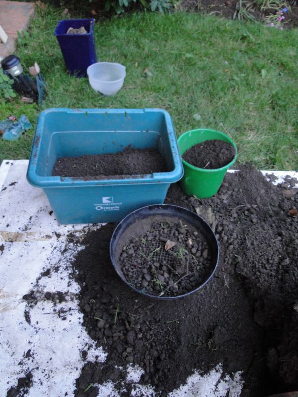 Sieving the soil