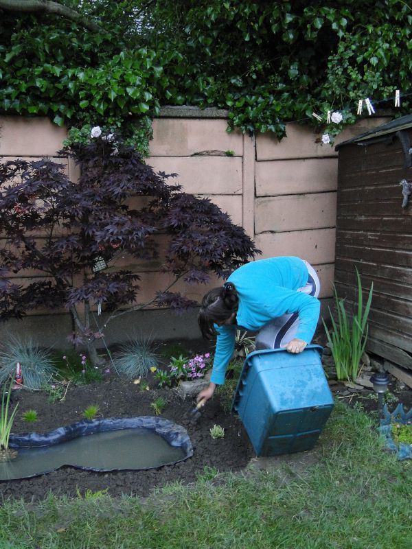 Stocking the border with heathers and grasses