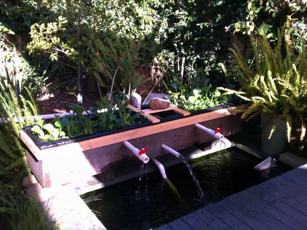 The natural planterbox extra biological plant clarifier 7.2011