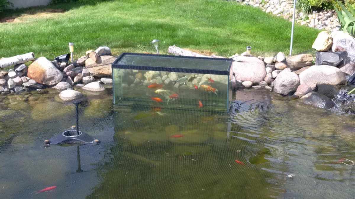The pond's penthouse