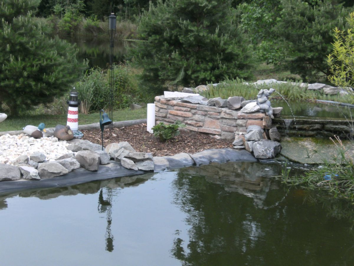 The recently added waterfall and the new landscaping.