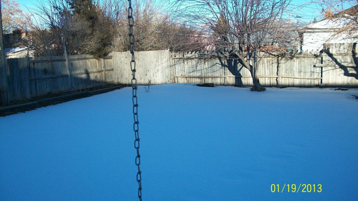 this is the spot where i want to put the pond