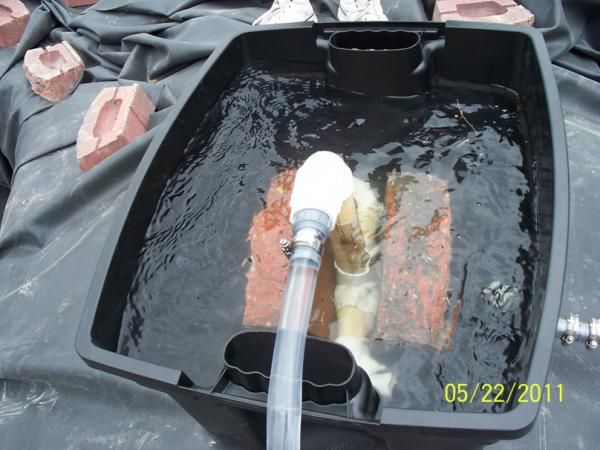 Water filling filter for first time!  Added lots of extra filter media, plastic tubing cut in 1" pieces, filter "sponge" at top, then light grid to hold it all in.
