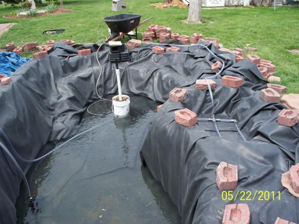 Water filling pond, bog on right