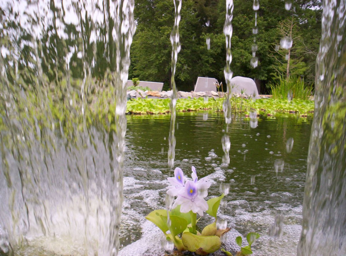 Waterfall peeking out.
