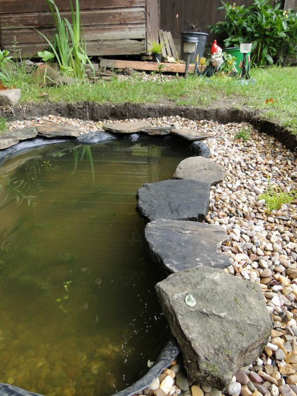 Wildlife Pond edging begins