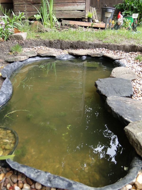 Wildlife Pond edging begins