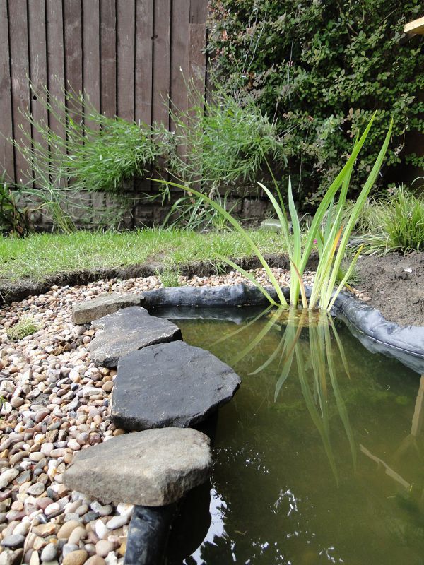 Wildlife Pond edging begins