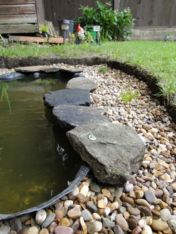 Wildlife Pond edging begins