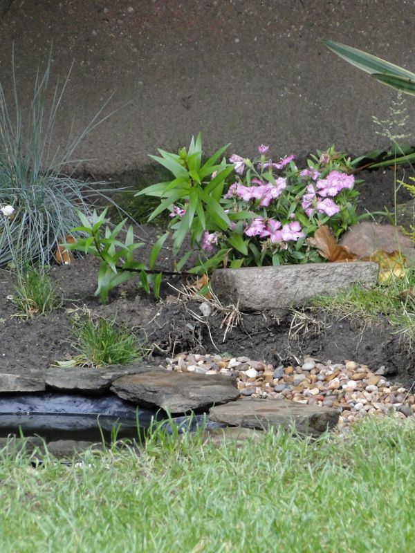 Wildlife Pond edging