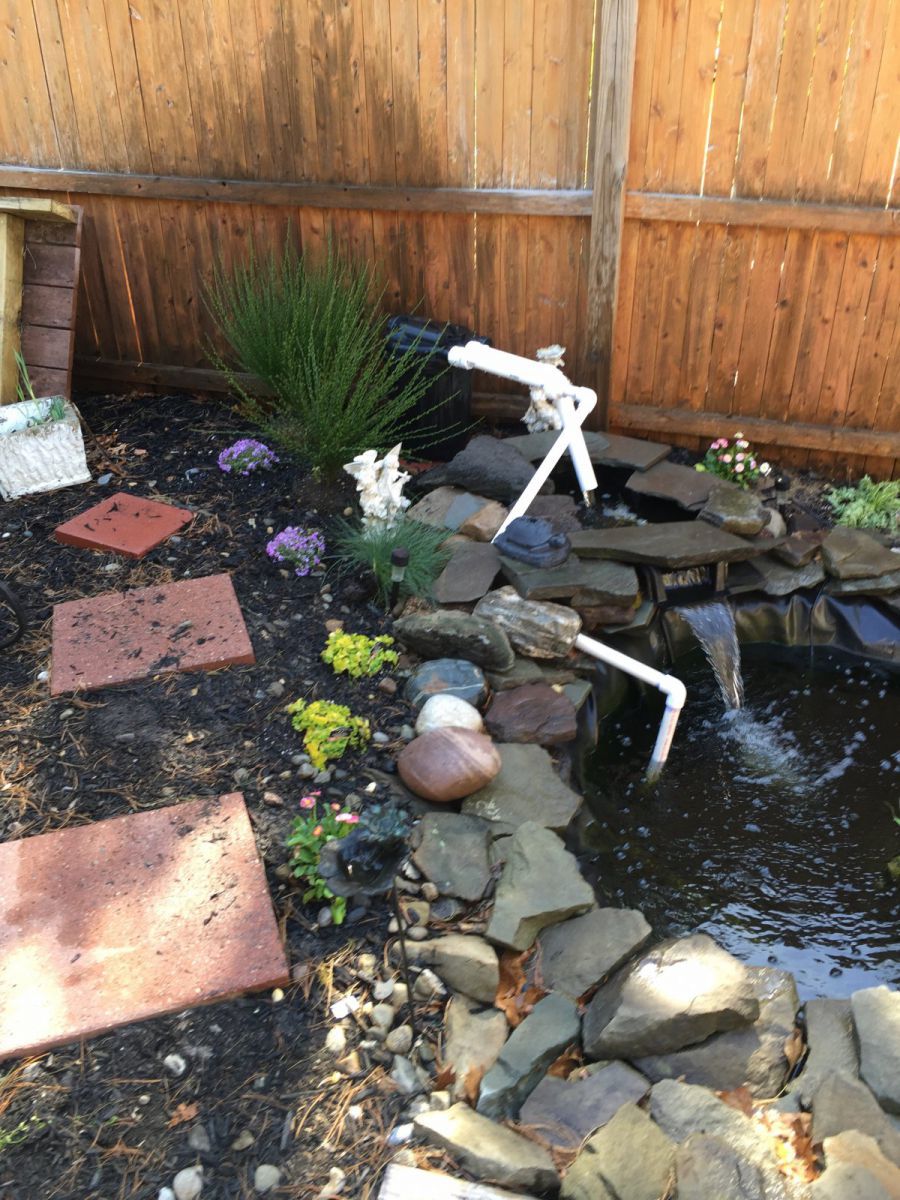 With some plants and rock work done