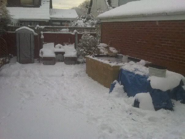 snowpond.jpg