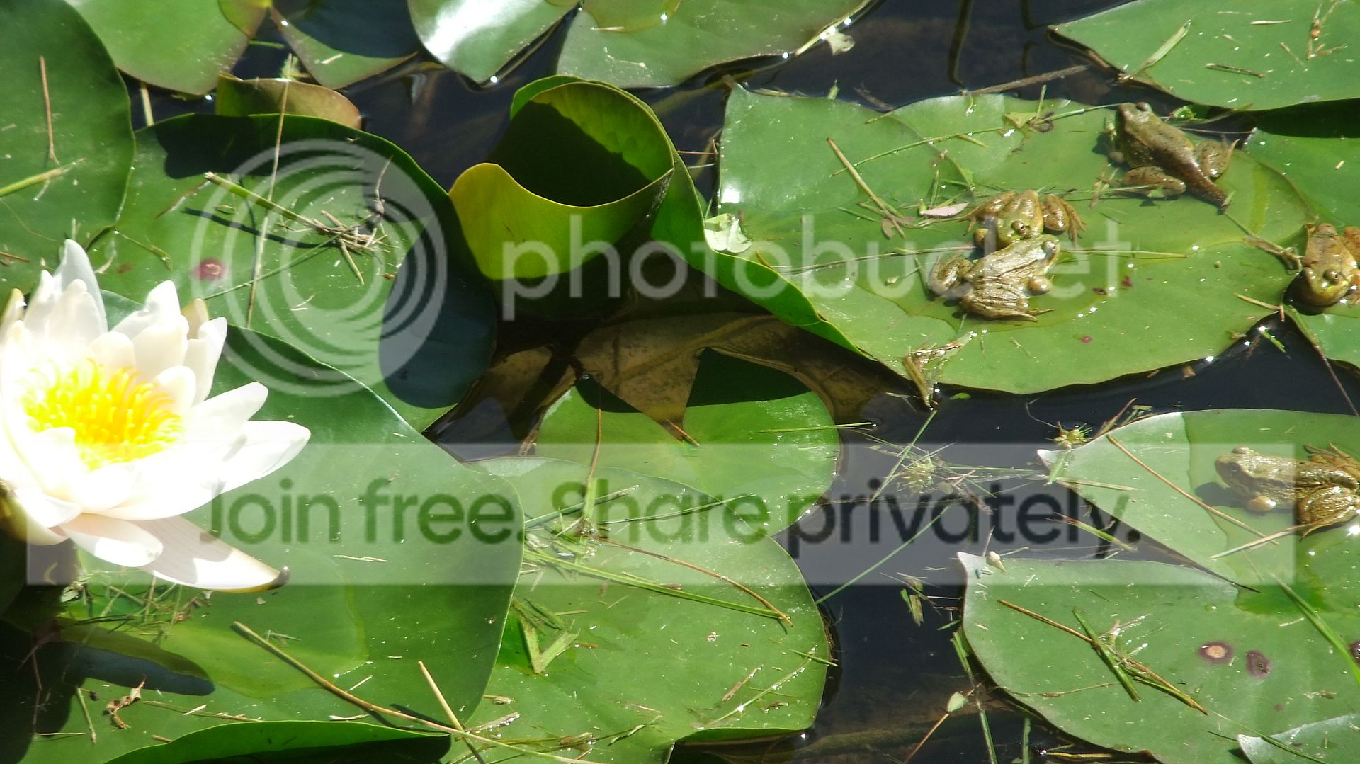 DSCF9061.jpg
