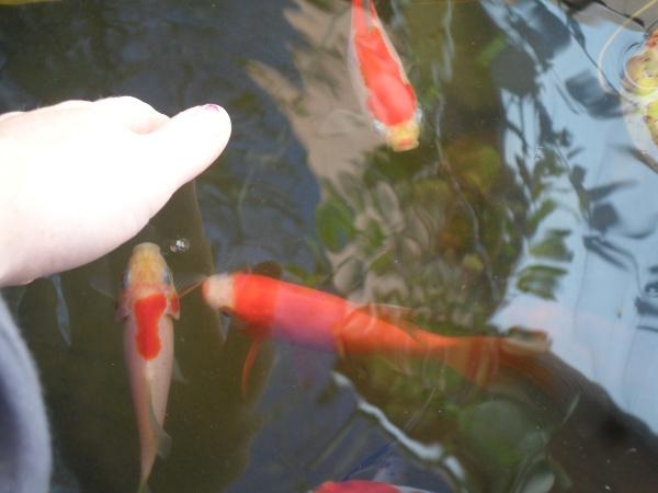 2435_sam_0002.jpg