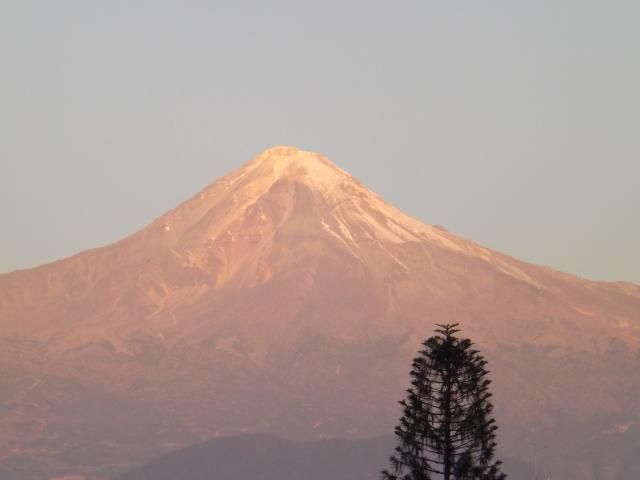 DSCF4695_zpsmkylj38n.jpg